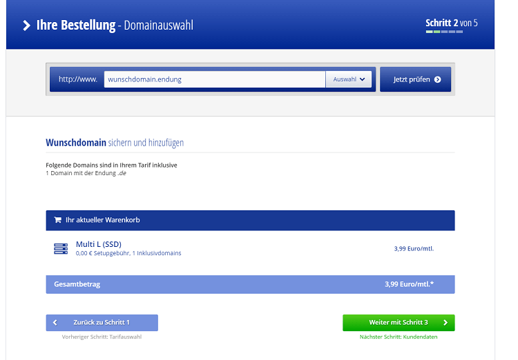 Alfahosting Domainauswahl
